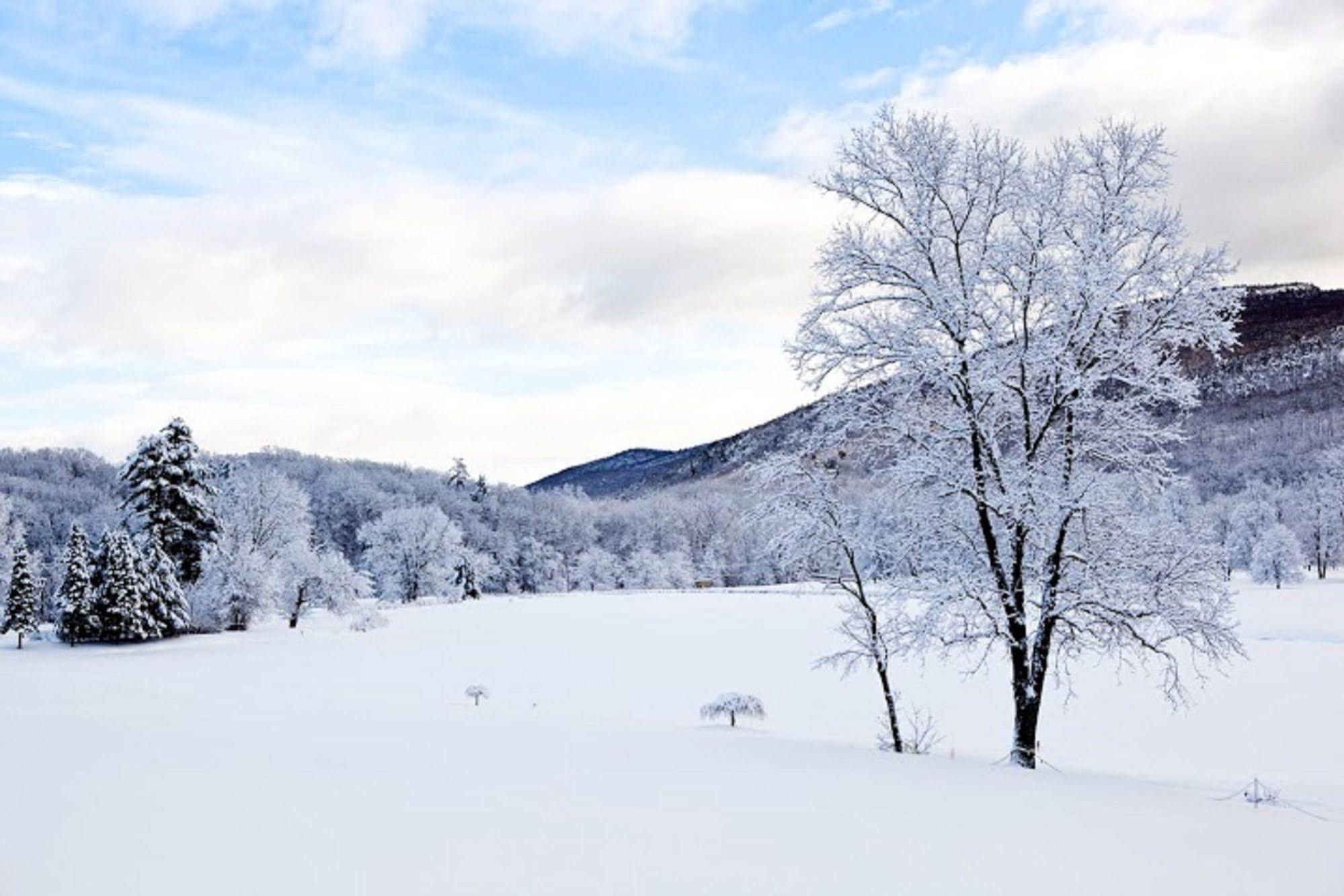 Ellenville Honors Haven Retreat & Conference酒店 外观 照片